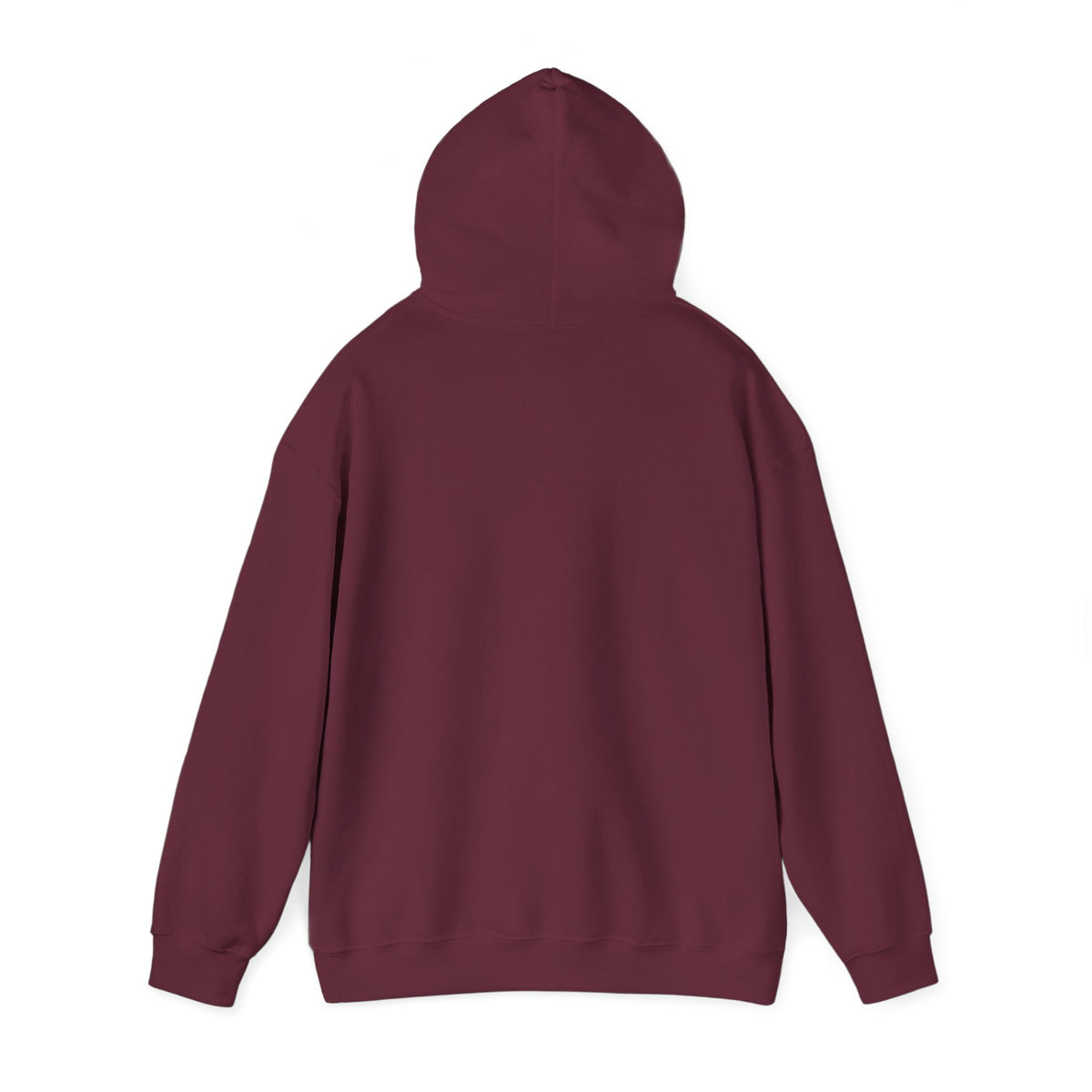 “Paid My Tax” Quote Unisex Hoodie