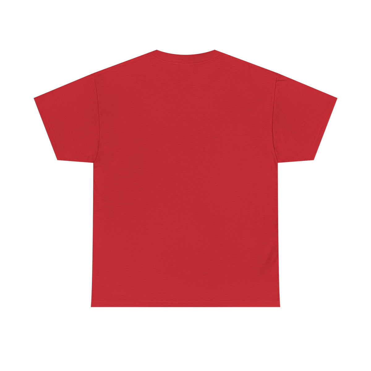 “I Don’t Care to Answer Any Questions” Heavy Cotton T-Shirt